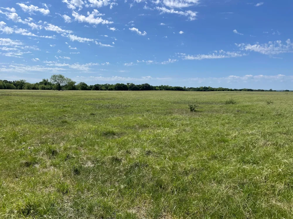 144.45 acres Smithville, TX 78957