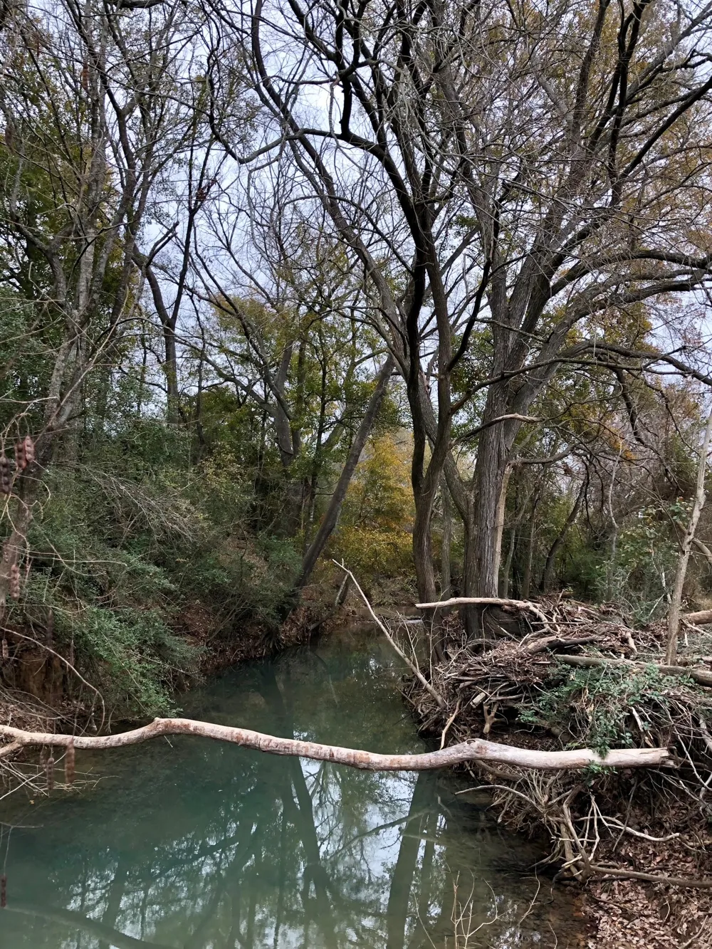 144.45 acres Smithville, TX 78957