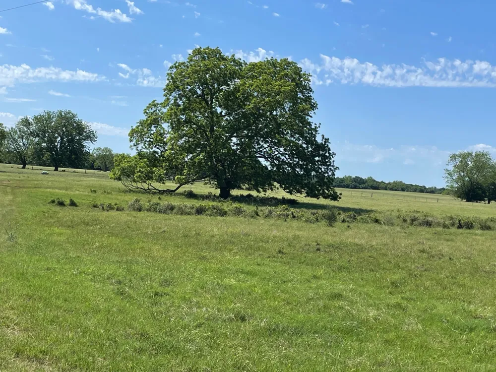 144.45 acres Smithville, TX 78957