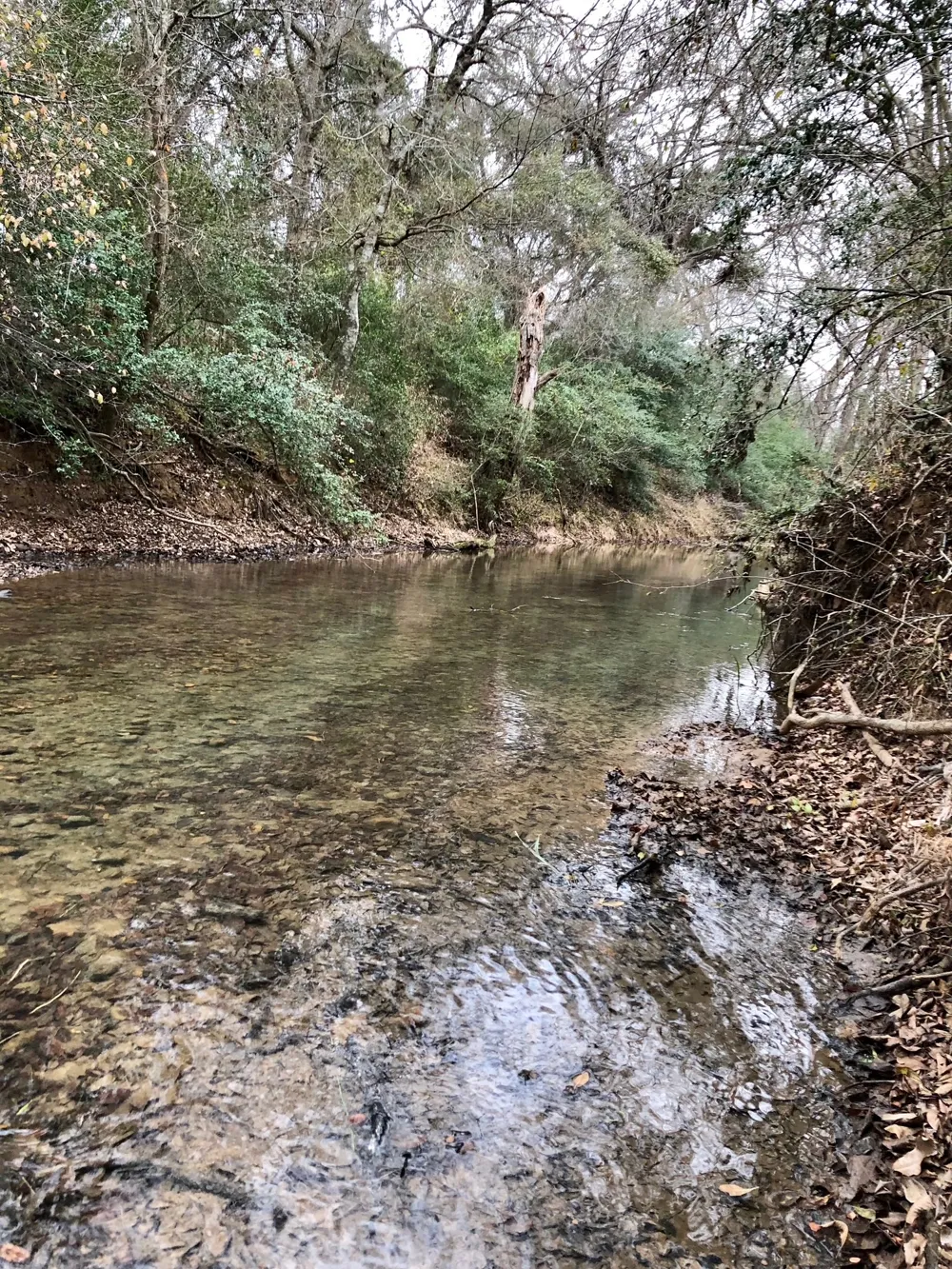 144.45 acres Smithville, TX 78957