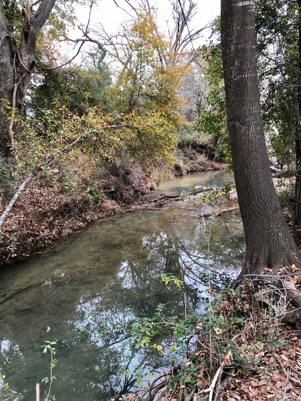 144.45 acres Smithville, TX 78957