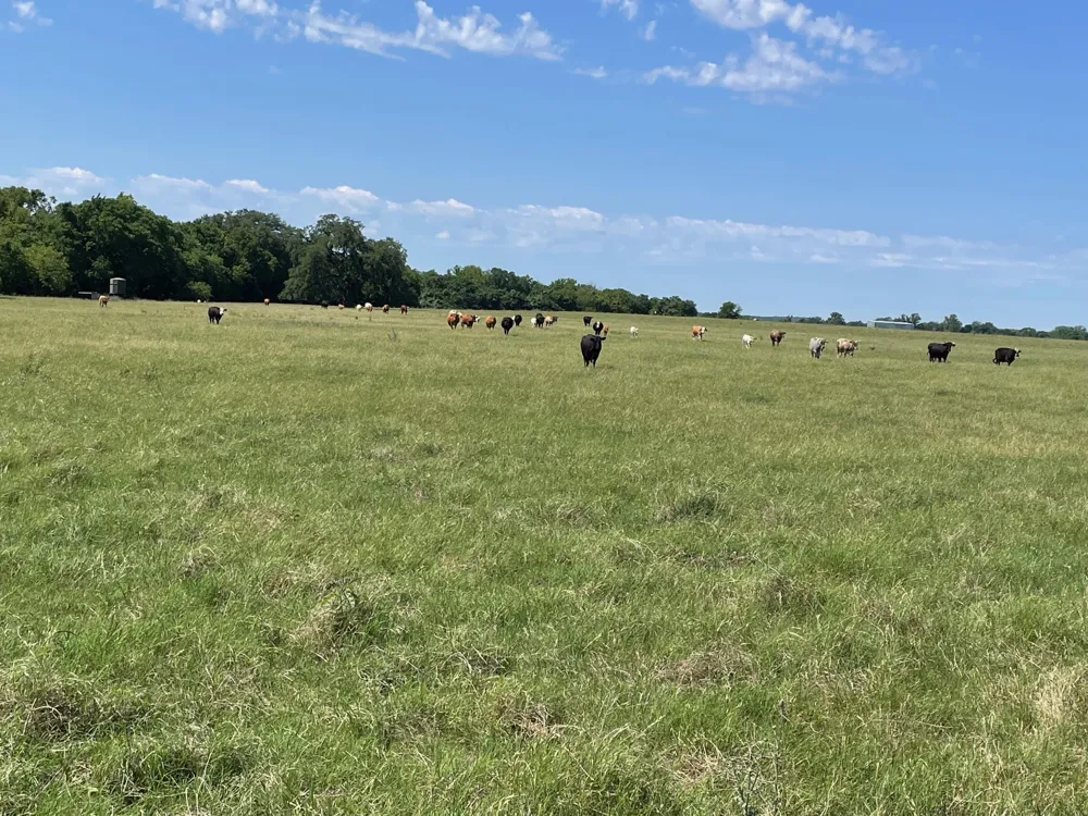 144.45 acres Smithville, TX 78957