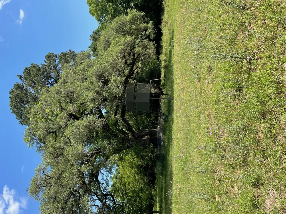 144.45 acres Smithville, TX 78957