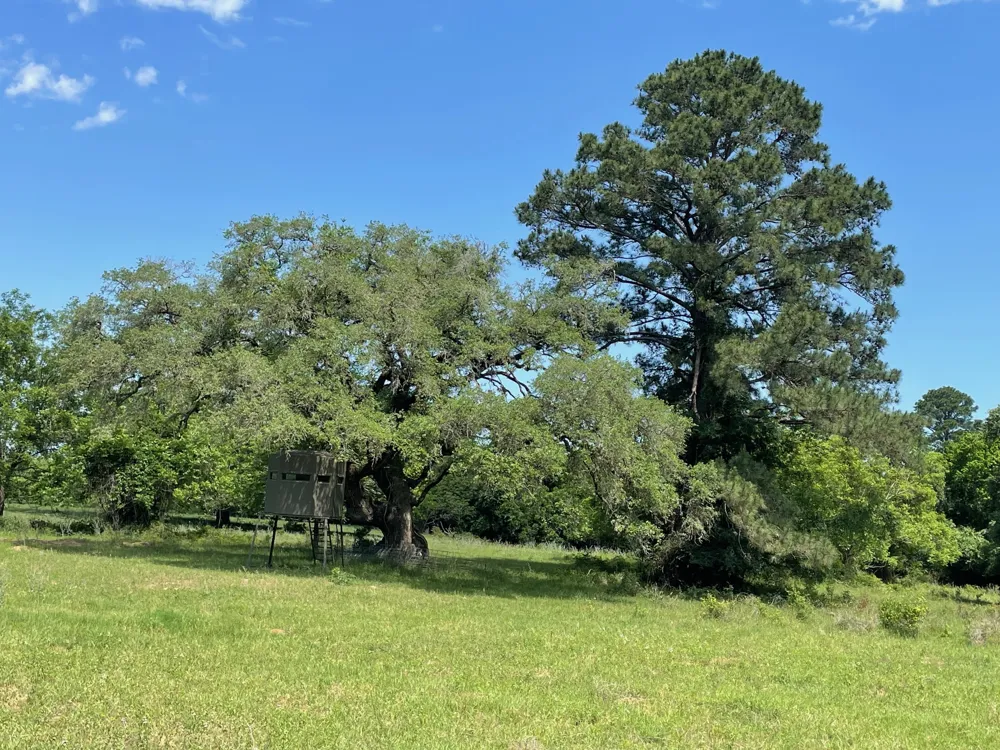 144.45 acres Smithville, TX 78957