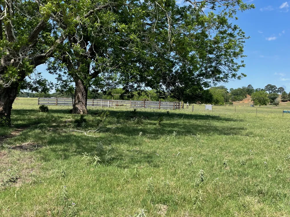 144.45 acres Smithville, TX 78957
