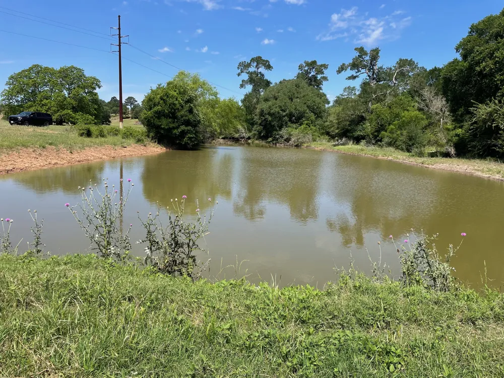 144.45 acres Smithville, TX 78957