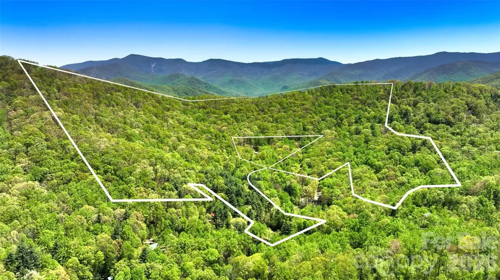 99999 Anderson Cove Road Barnardsville, NC 28709