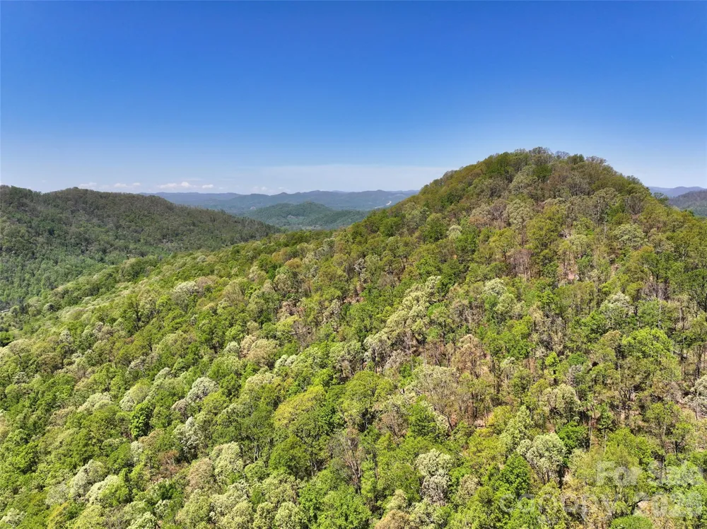 99999 Anderson Cove Road Barnardsville, NC 28709