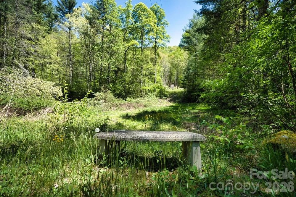 99999 Anderson Cove Road Barnardsville, NC 28709