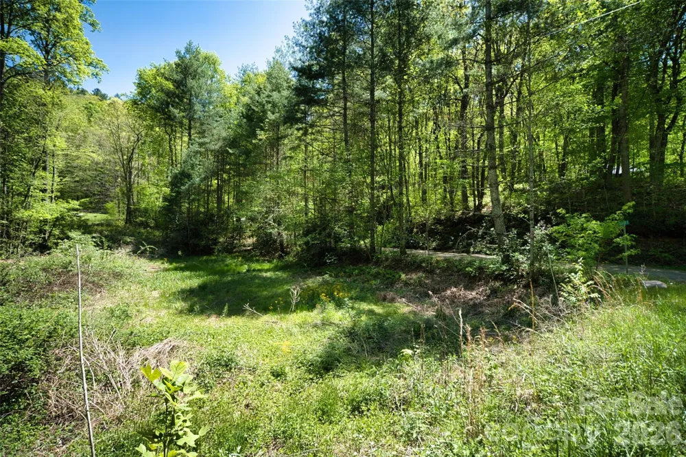 99999 Anderson Cove Road Barnardsville, NC 28709