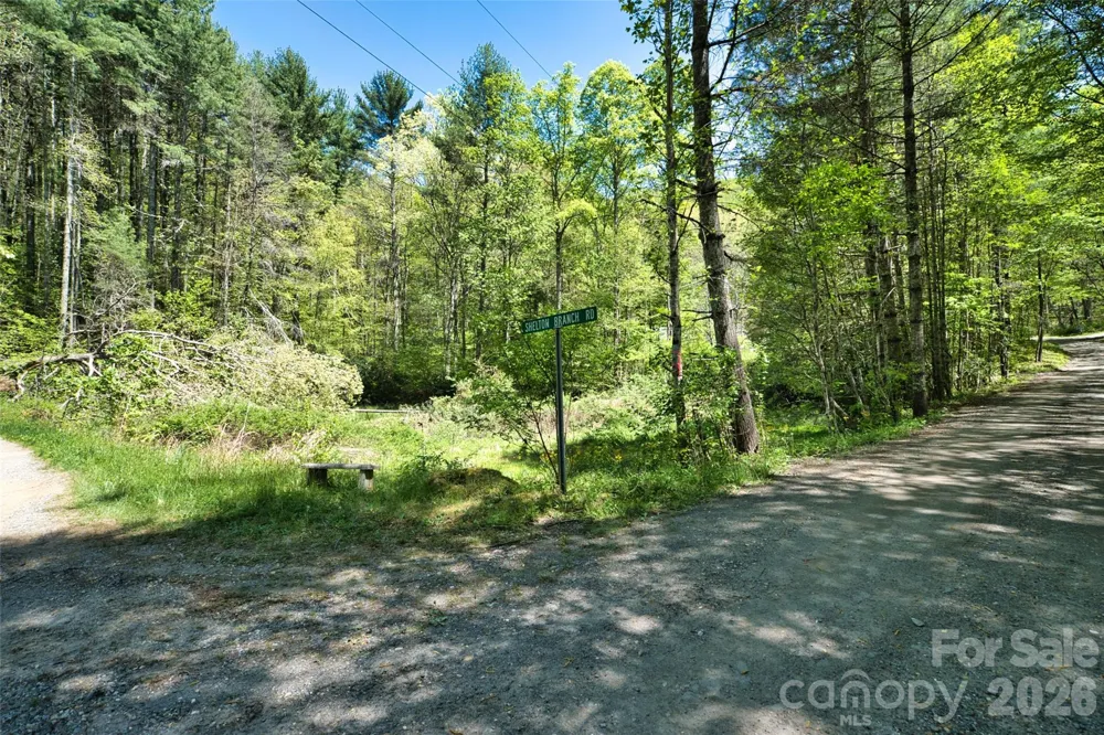 99999 Anderson Cove Road Barnardsville, NC 28709