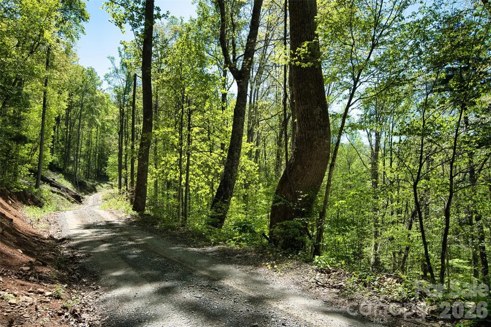 99999 Anderson Cove Road Barnardsville, NC 28709