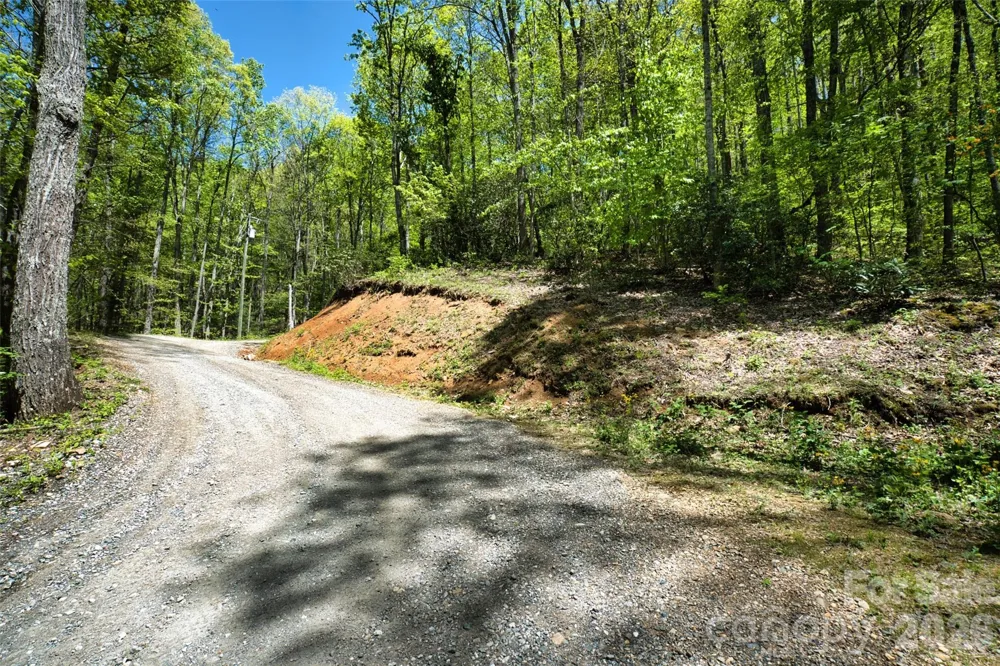 99999 Anderson Cove Road Barnardsville, NC 28709