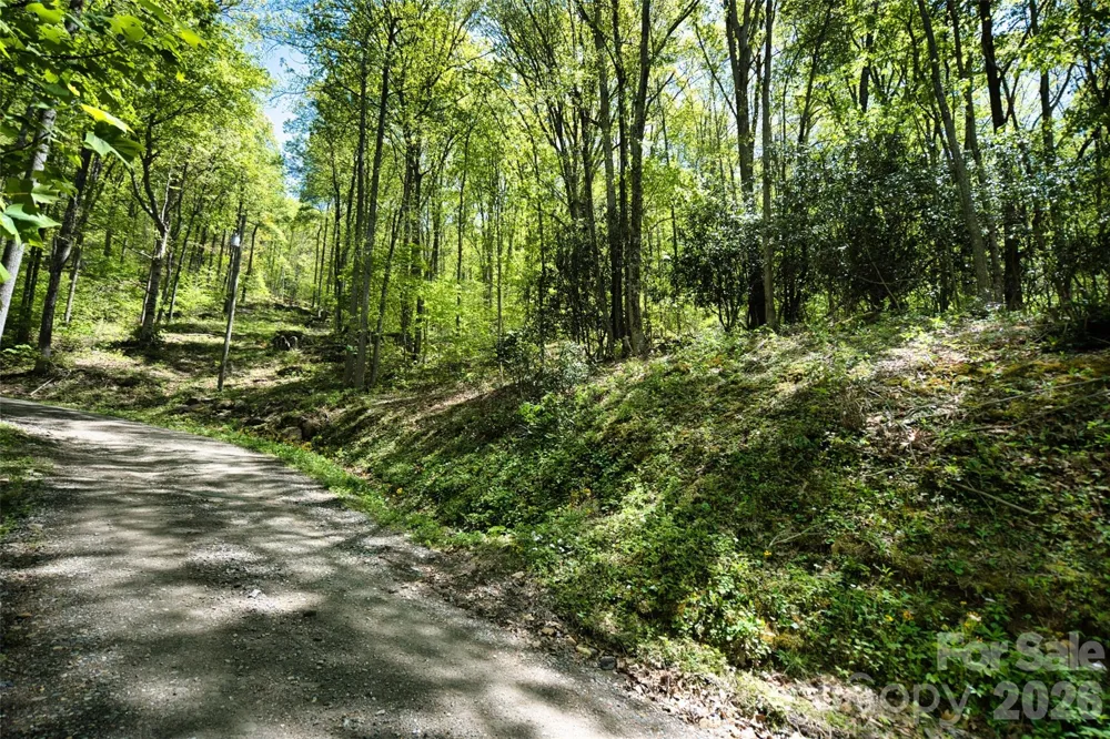 99999 Anderson Cove Road Barnardsville, NC 28709