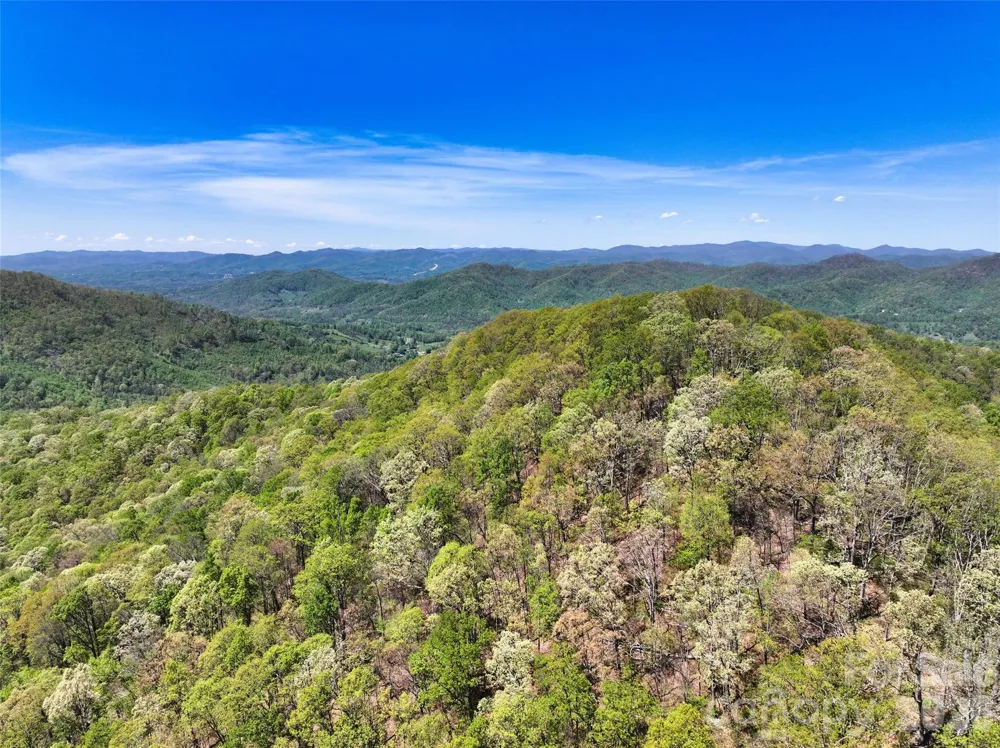 99999 Anderson Cove Road Barnardsville, NC 28709