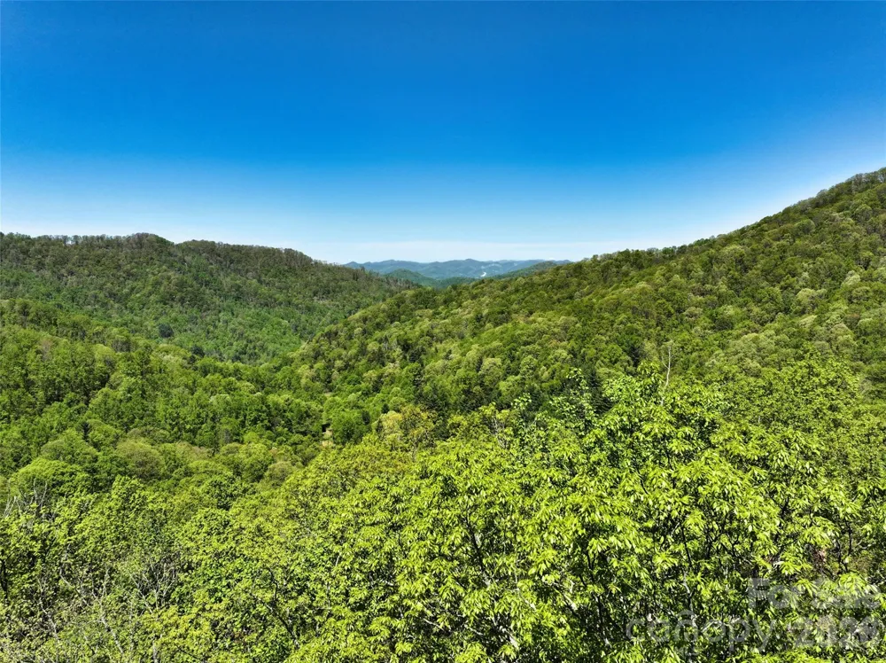 99999 Anderson Cove Road Barnardsville, NC 28709