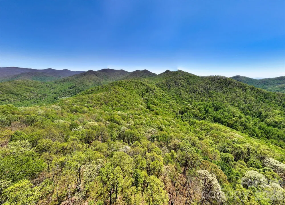 99999 Anderson Cove Road Barnardsville, NC 28709