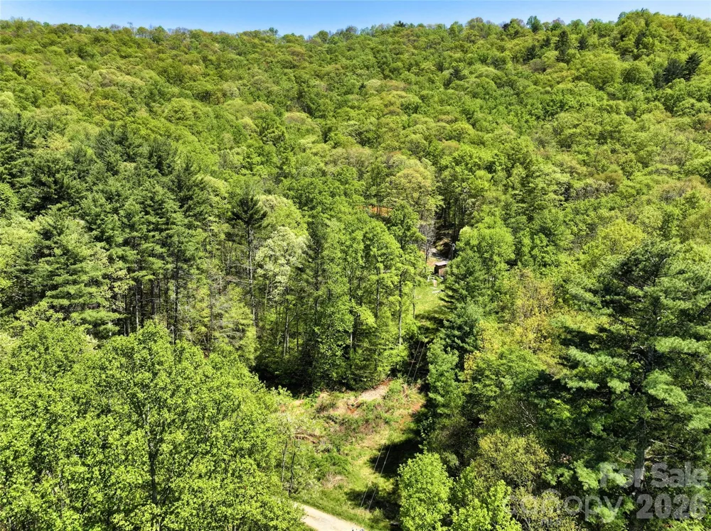99999 Anderson Cove Road Barnardsville, NC 28709