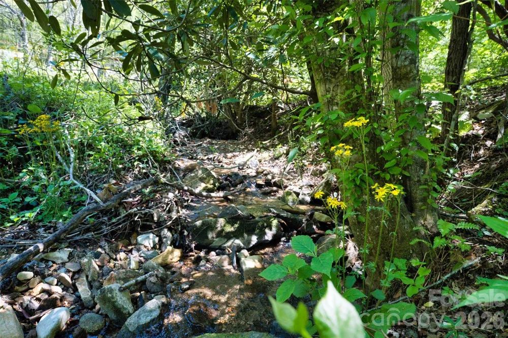 99999 Anderson Cove Road Barnardsville, NC 28709