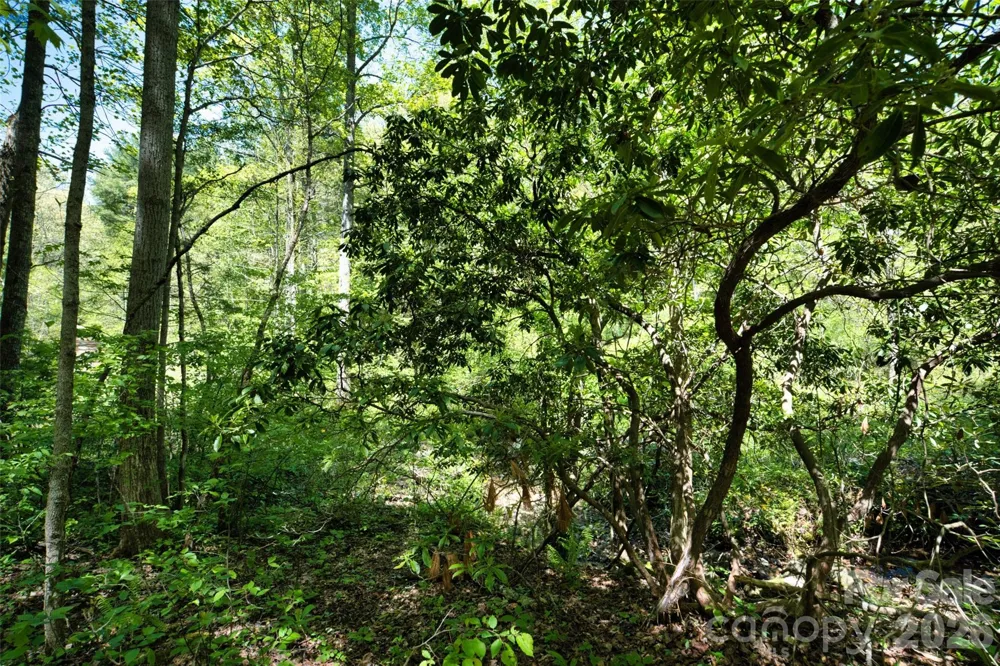 99999 Anderson Cove Road Barnardsville, NC 28709