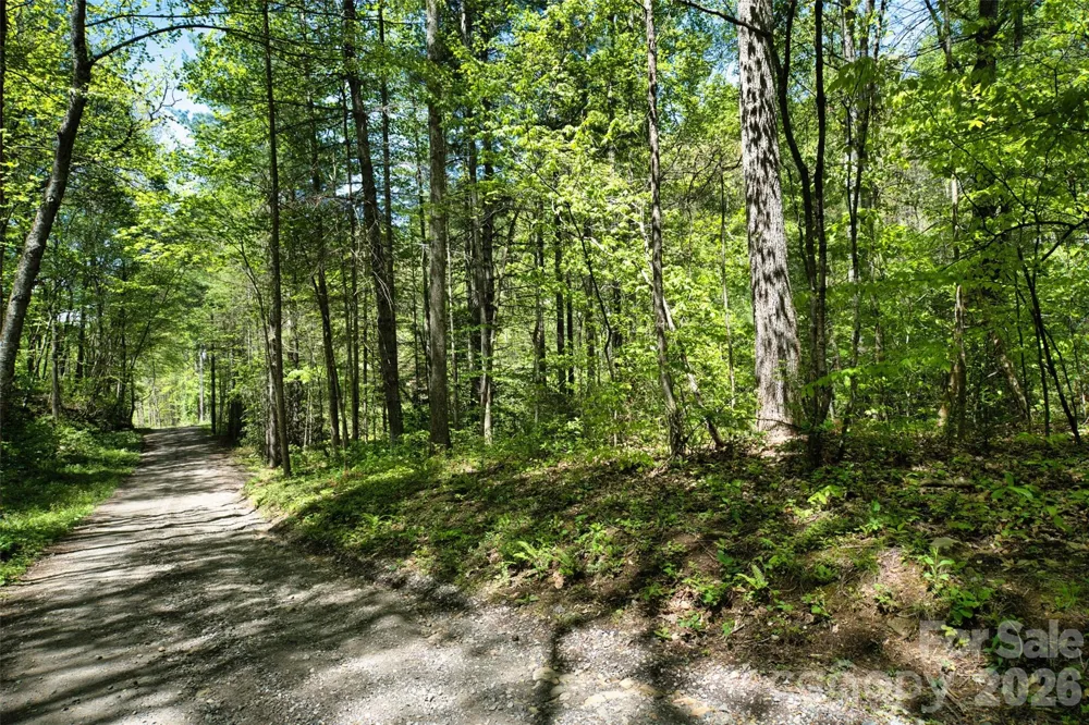 99999 Anderson Cove Road Barnardsville, NC 28709