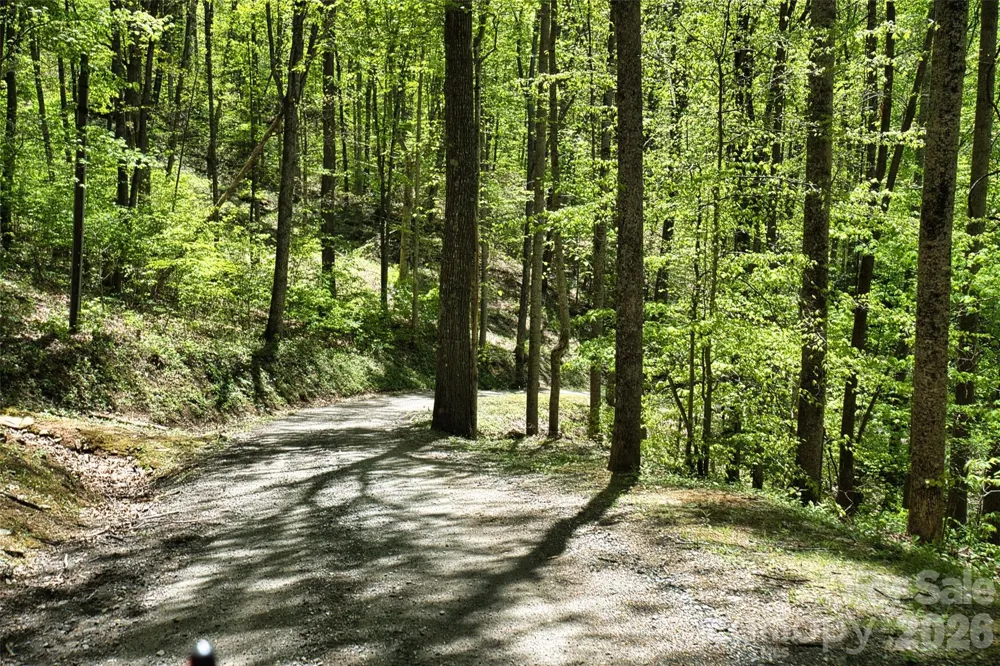 99999 Anderson Cove Road Barnardsville, NC 28709