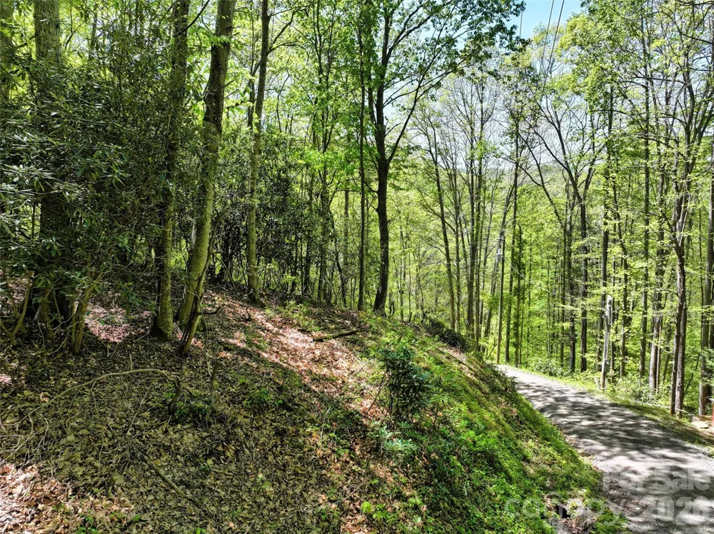 99999 Anderson Cove Road Barnardsville, NC 28709