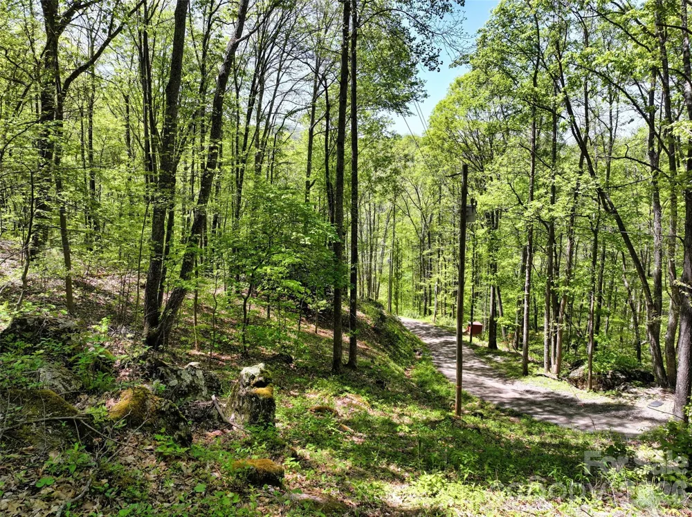 99999 Anderson Cove Road Barnardsville, NC 28709
