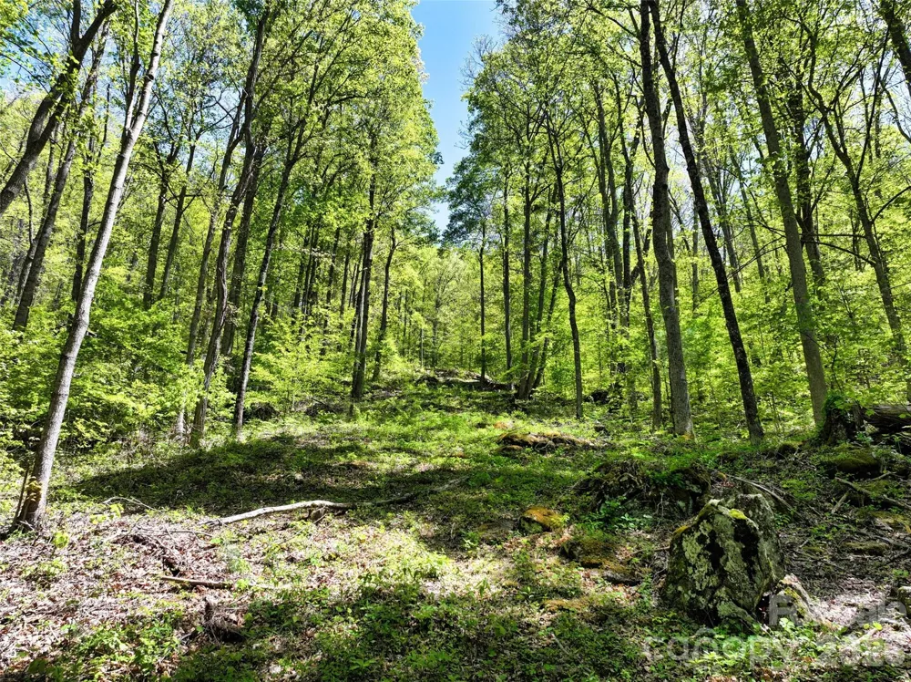 99999 Anderson Cove Road Barnardsville, NC 28709