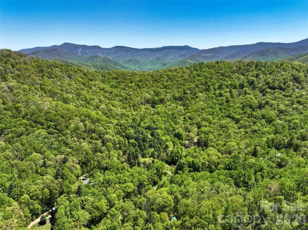 99999 Anderson Cove Road Barnardsville, NC 28709