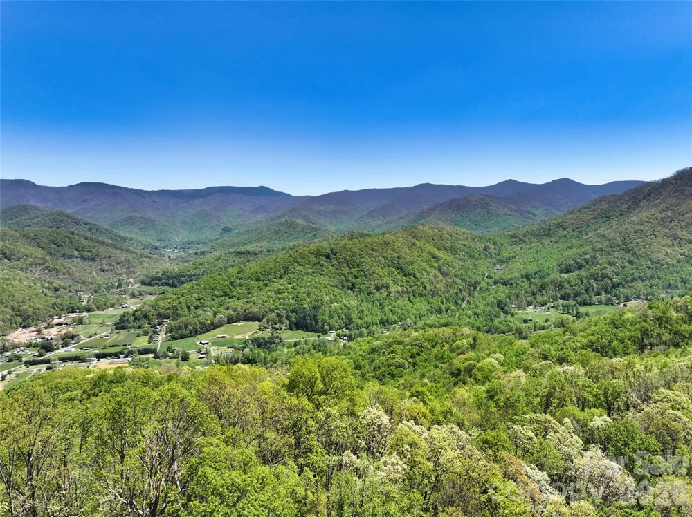 99999 Anderson Cove Road Barnardsville, NC 28709