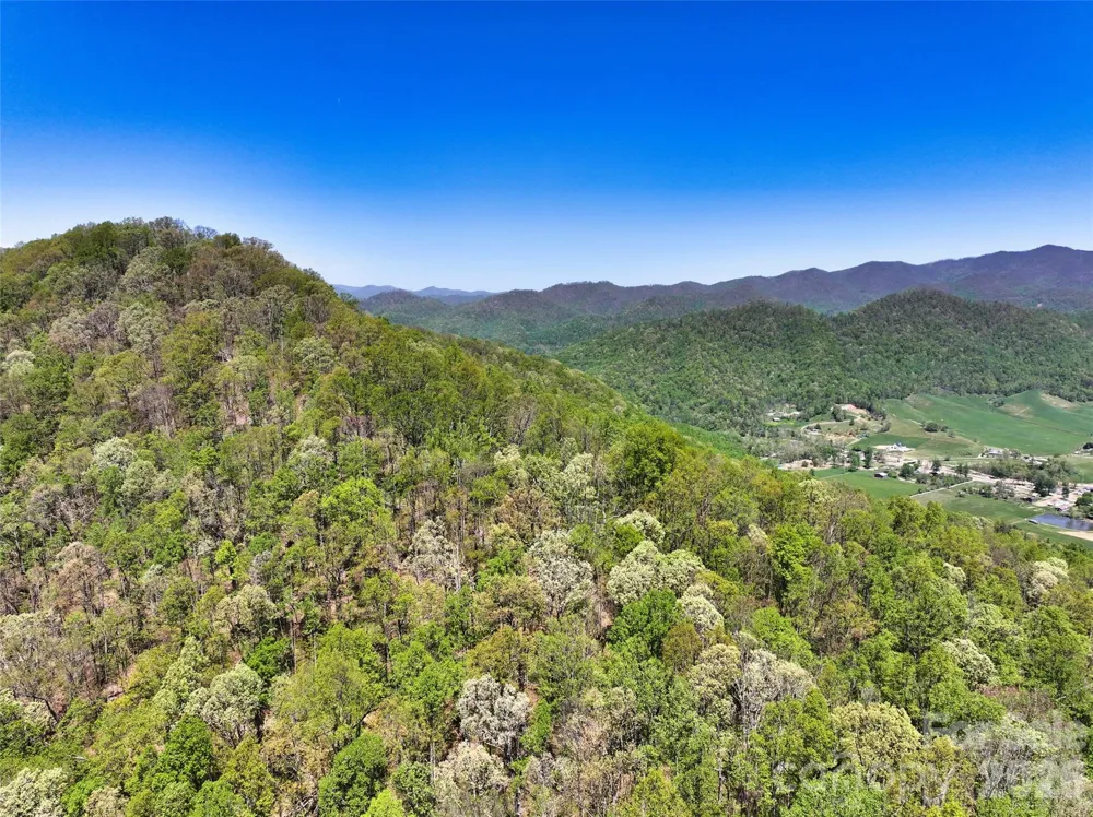 99999 Anderson Cove Road Barnardsville, NC 28709