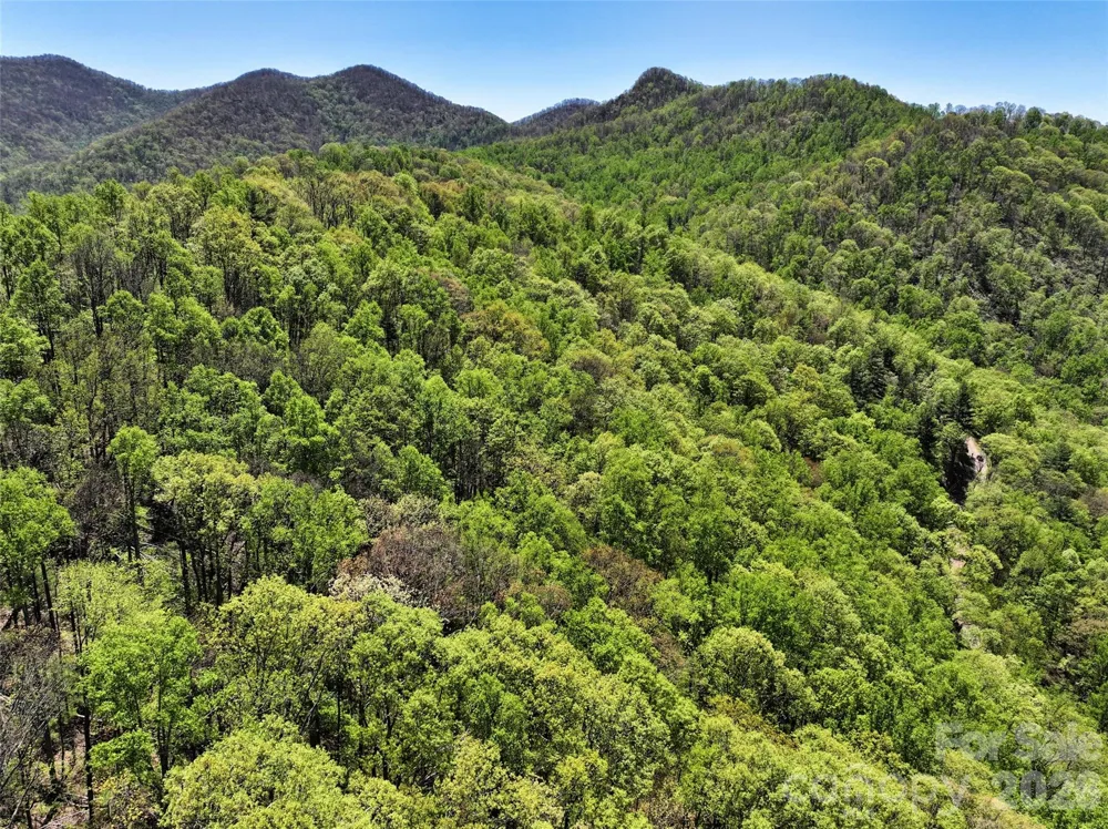 99999 Anderson Cove Road Barnardsville, NC 28709