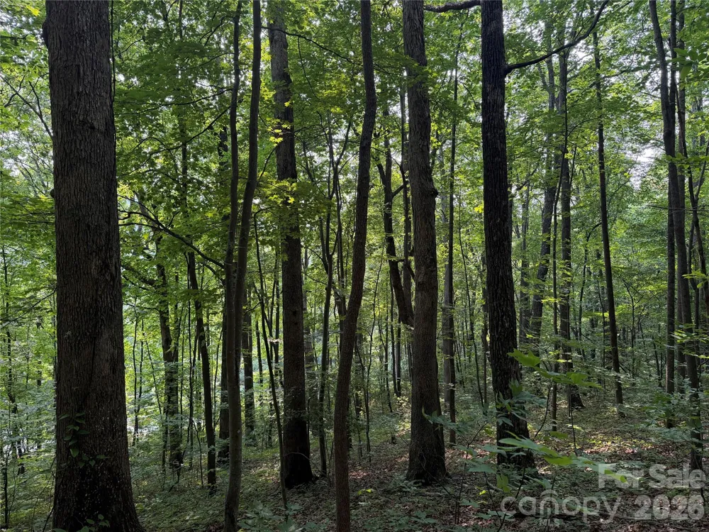 99999 Anderson Cove Road Barnardsville, NC 28709