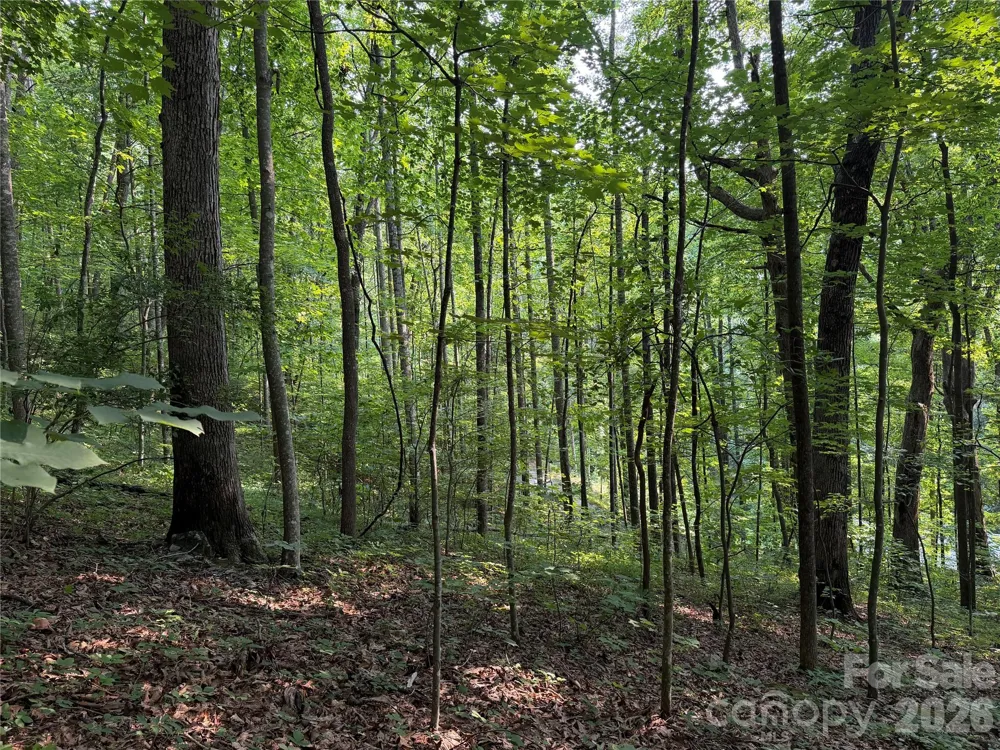 99999 Anderson Cove Road Barnardsville, NC 28709