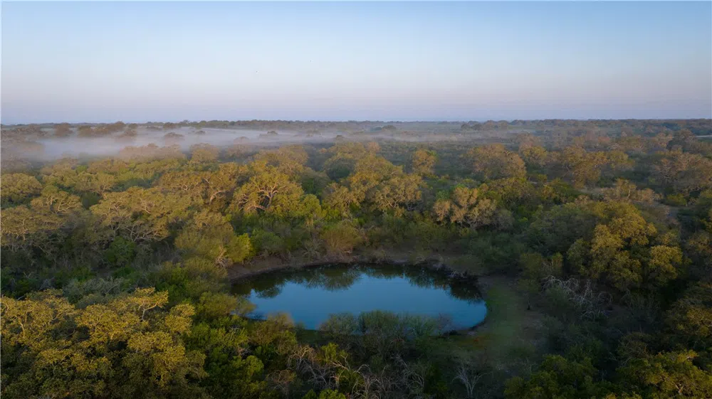 8440 State Highway 239 W Goliad, TX 77963