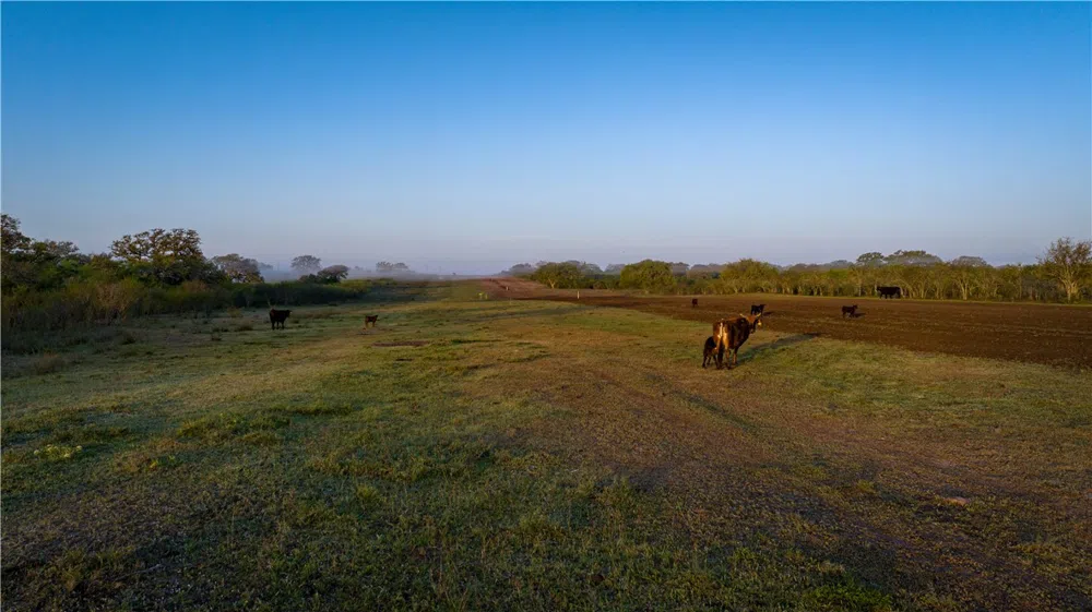 8440 State Highway 239 W Goliad, TX 77963