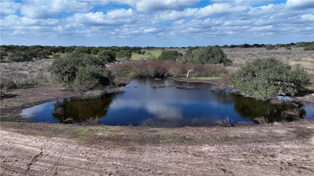 8440 State Highway 239 W Goliad, TX 77963