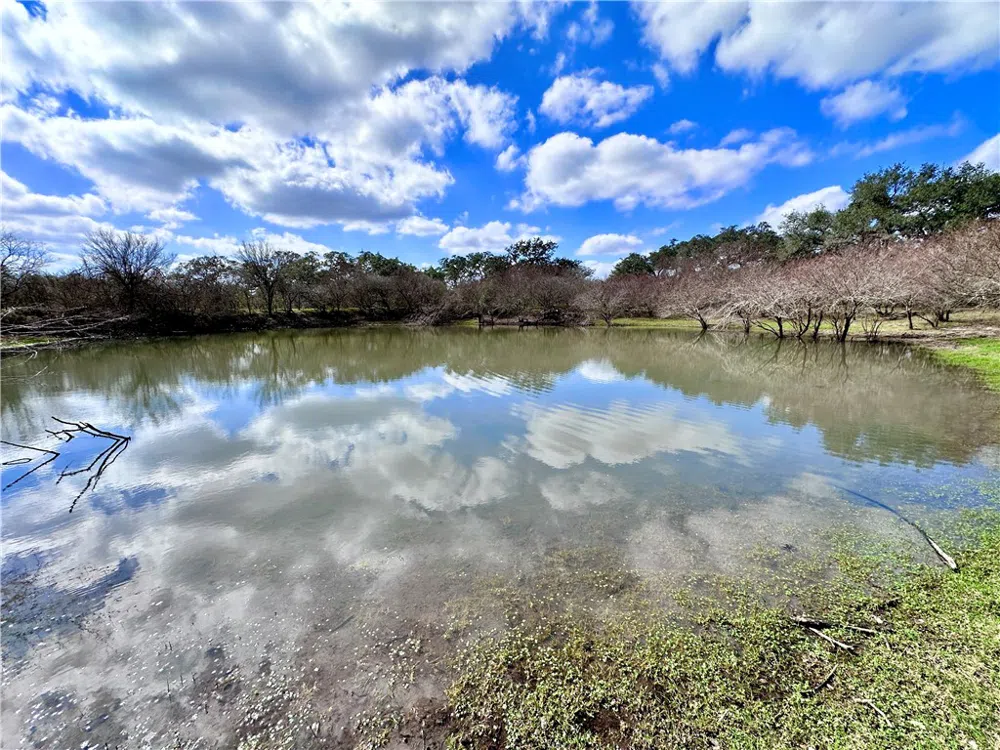 8440 State Highway 239 W Goliad, TX 77963