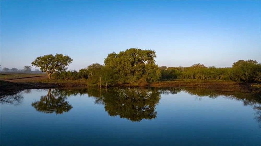8440 State Highway 239 W Goliad, TX 77963