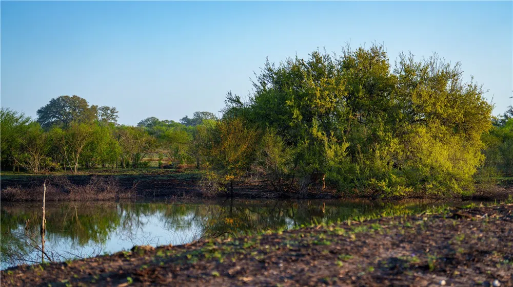 8440 State Highway 239 W Goliad, TX 77963
