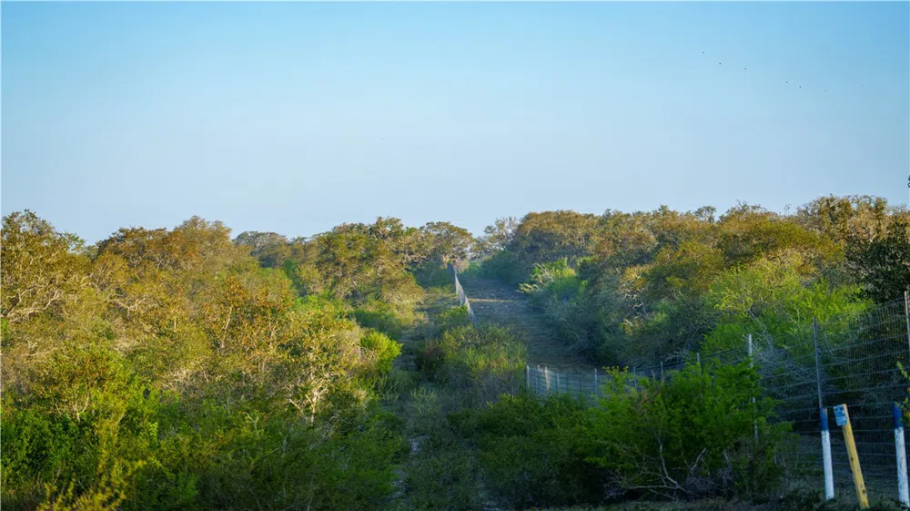 8440 State Highway 239 W Goliad, TX 77963