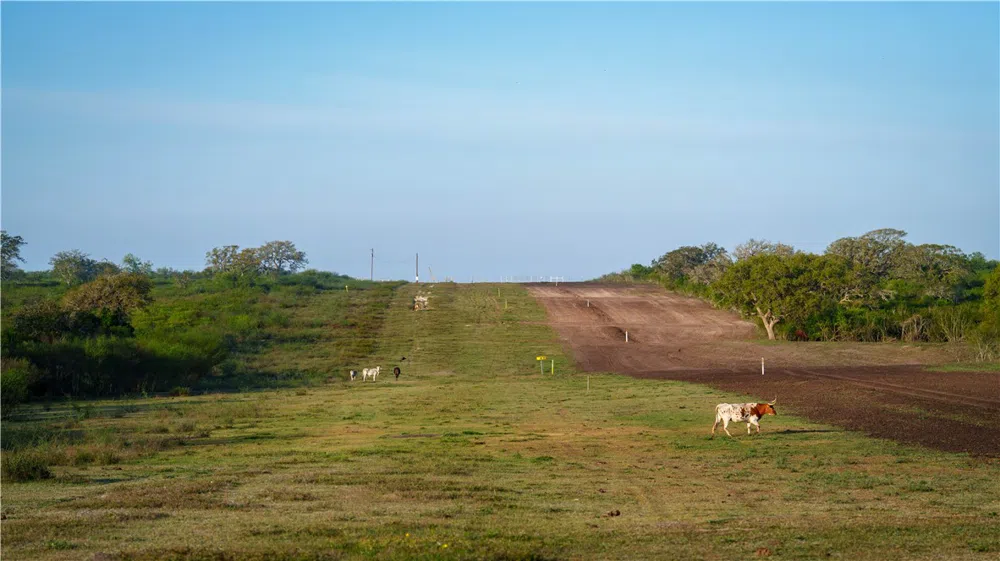 8440 State Highway 239 W Goliad, TX 77963