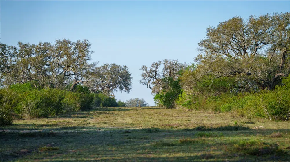 8440 State Highway 239 W Goliad, TX 77963