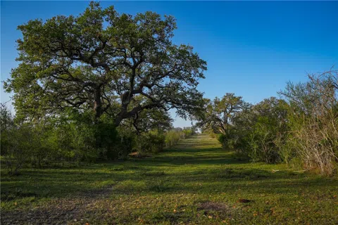 8440 State Highway 239 W