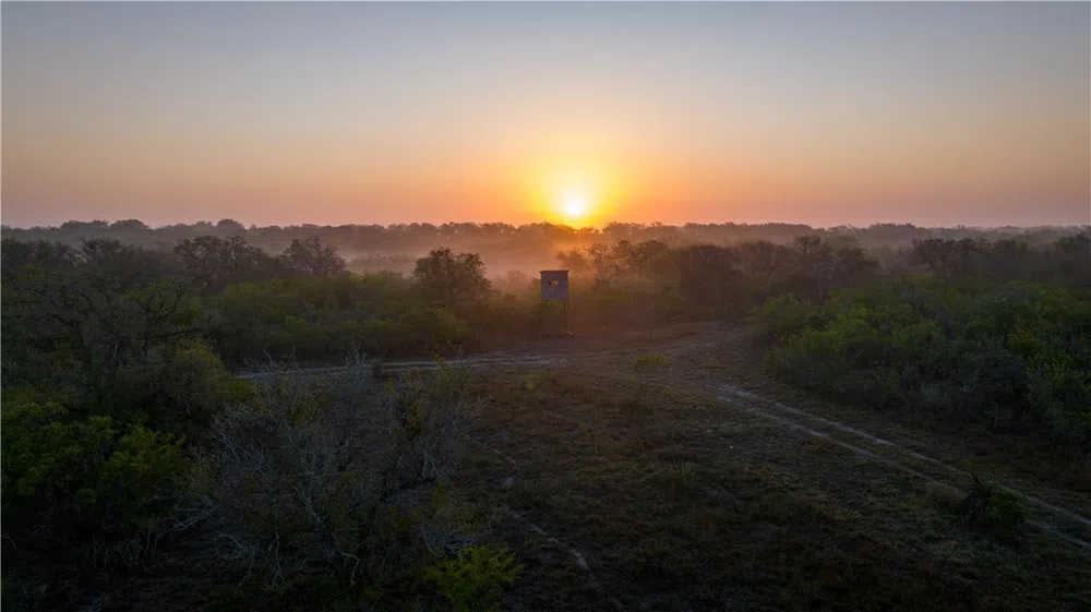 8440 State Highway 239 W Goliad, TX 77963