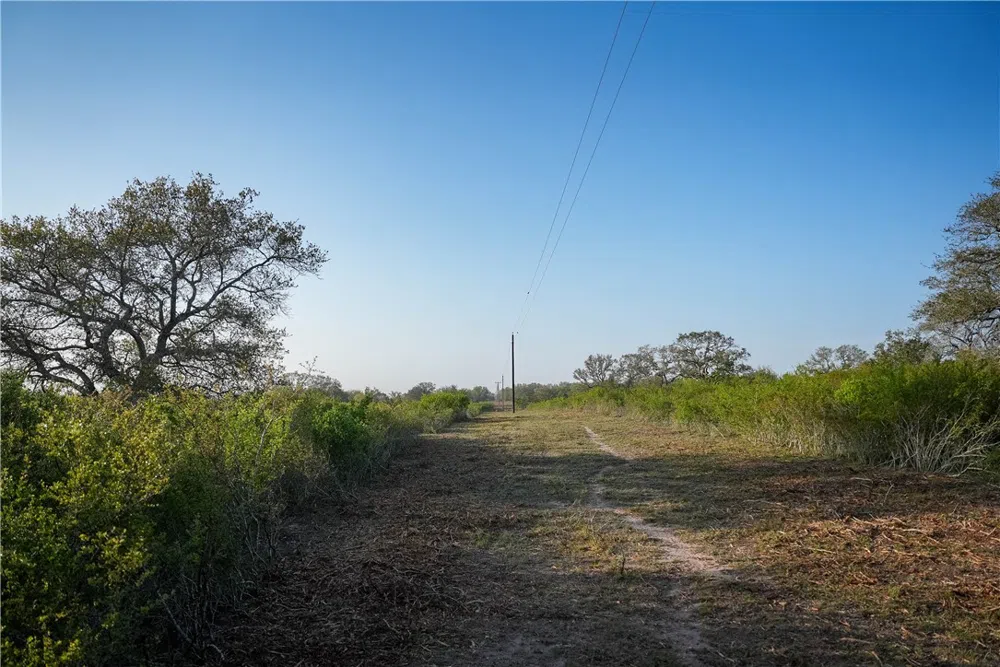 8440 State Highway 239 W Goliad, TX 77963