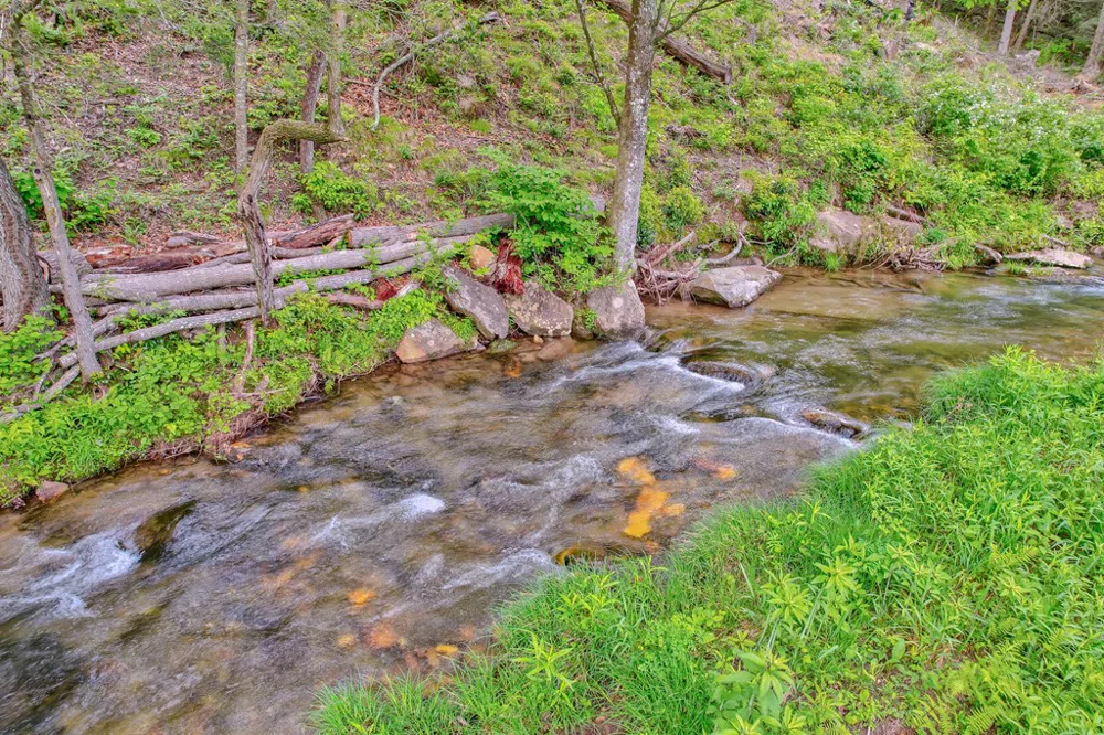 16400 Big Creek Road Cherry Log, GA 30522