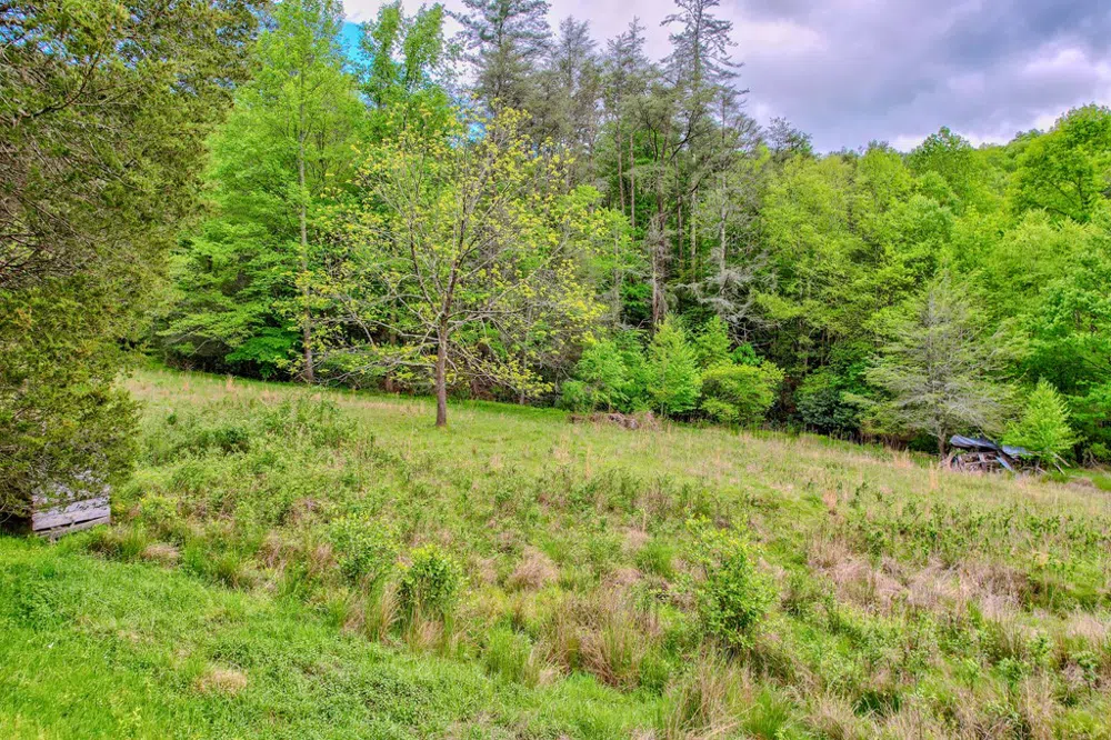 16400 Big Creek Road Cherry Log, GA 30522