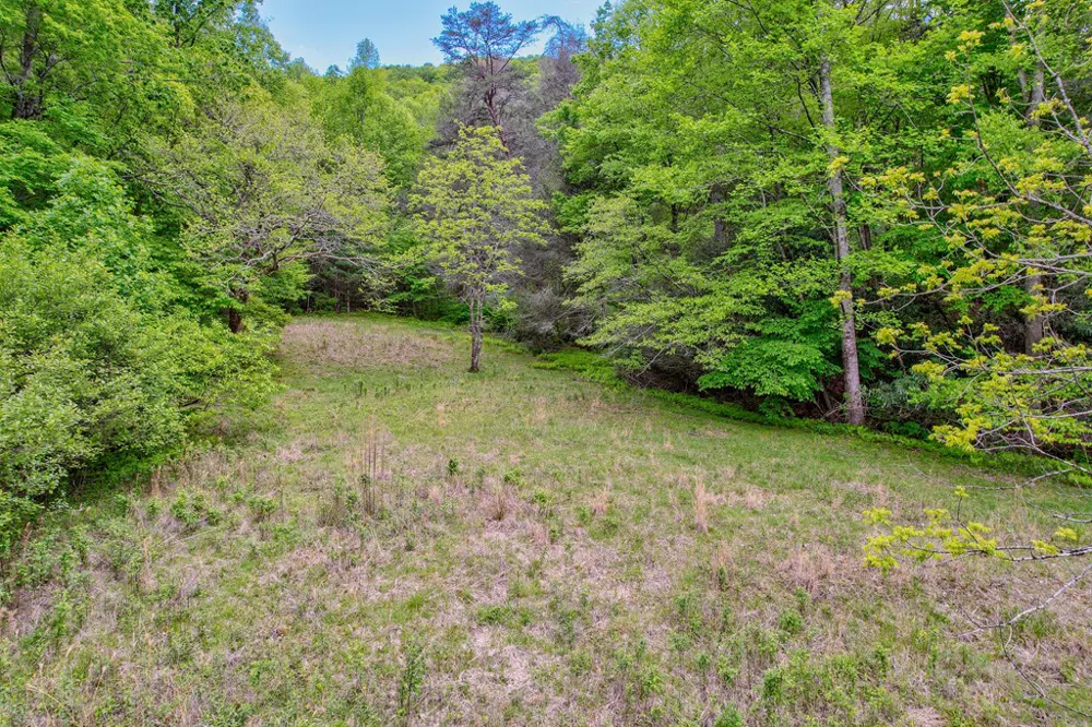 16400 Big Creek Road Cherry Log, GA 30522